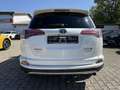 Toyota RAV 4 Hybrid Executive *Standheizung! Weiß - thumbnail 8