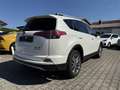 Toyota RAV 4 Hybrid Executive *Standheizung! Weiß - thumbnail 4