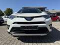 Toyota RAV 4 Hybrid Executive *Standheizung! Weiß - thumbnail 6