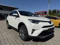Toyota RAV 4 Hybrid Executive *Standheizung! Weiß - thumbnail 2