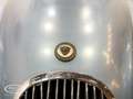 Jaguar - ONLINE AUCTION Bleu - thumbnail 9