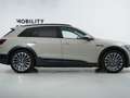 Audi e-tron Advanced 55 quattro Beige - thumbnail 7