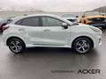 Ford Puma MHEV ST-Line 7AT. WinterPak -29%* Gris - thumbnail 7