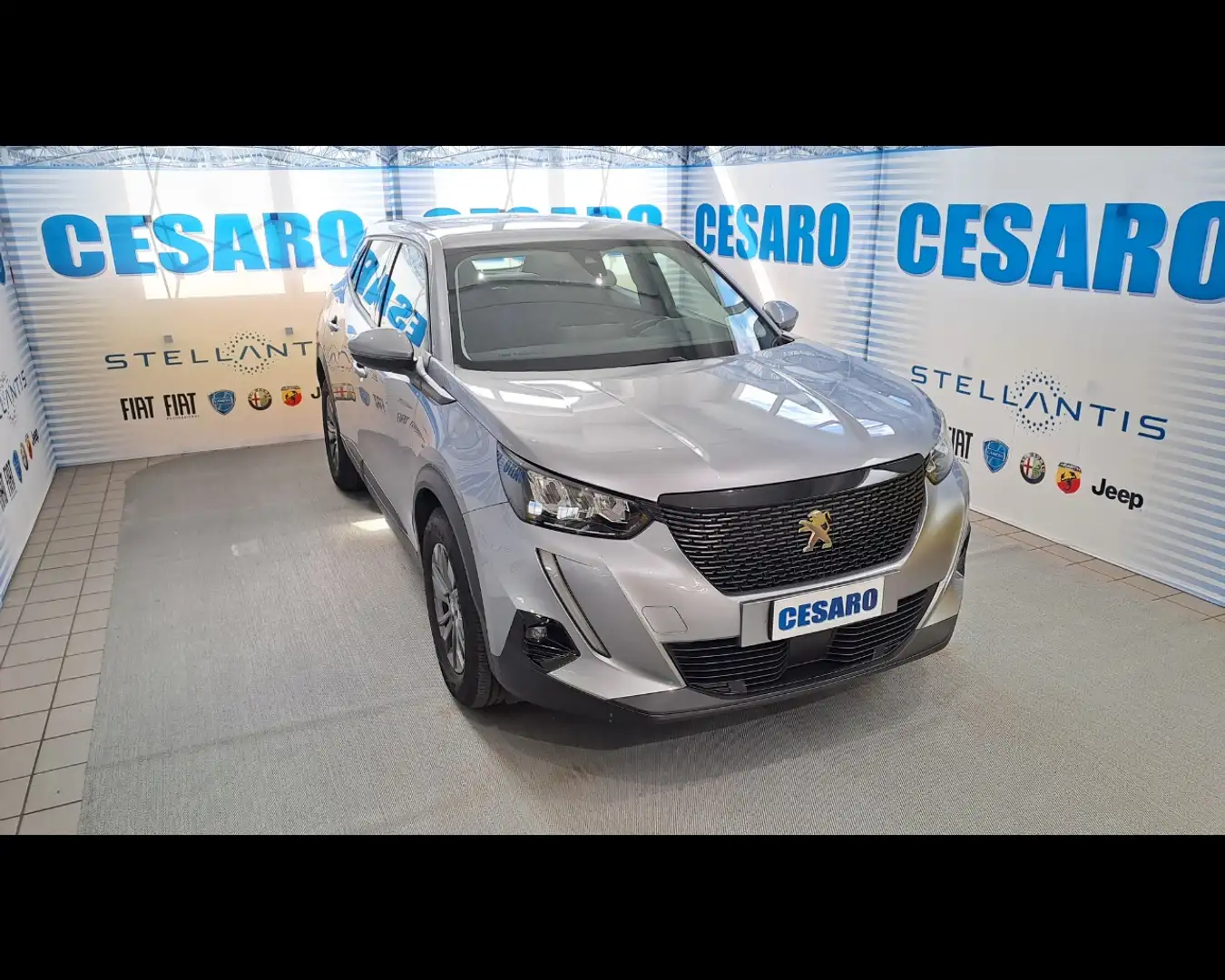 Peugeot 2008 1.2 PureTech Active Grau - 1