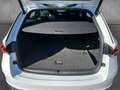 Skoda Octavia Combi TDI DSG RS AHK MatrLED Nav ACC Kam Weiß - thumbnail 10