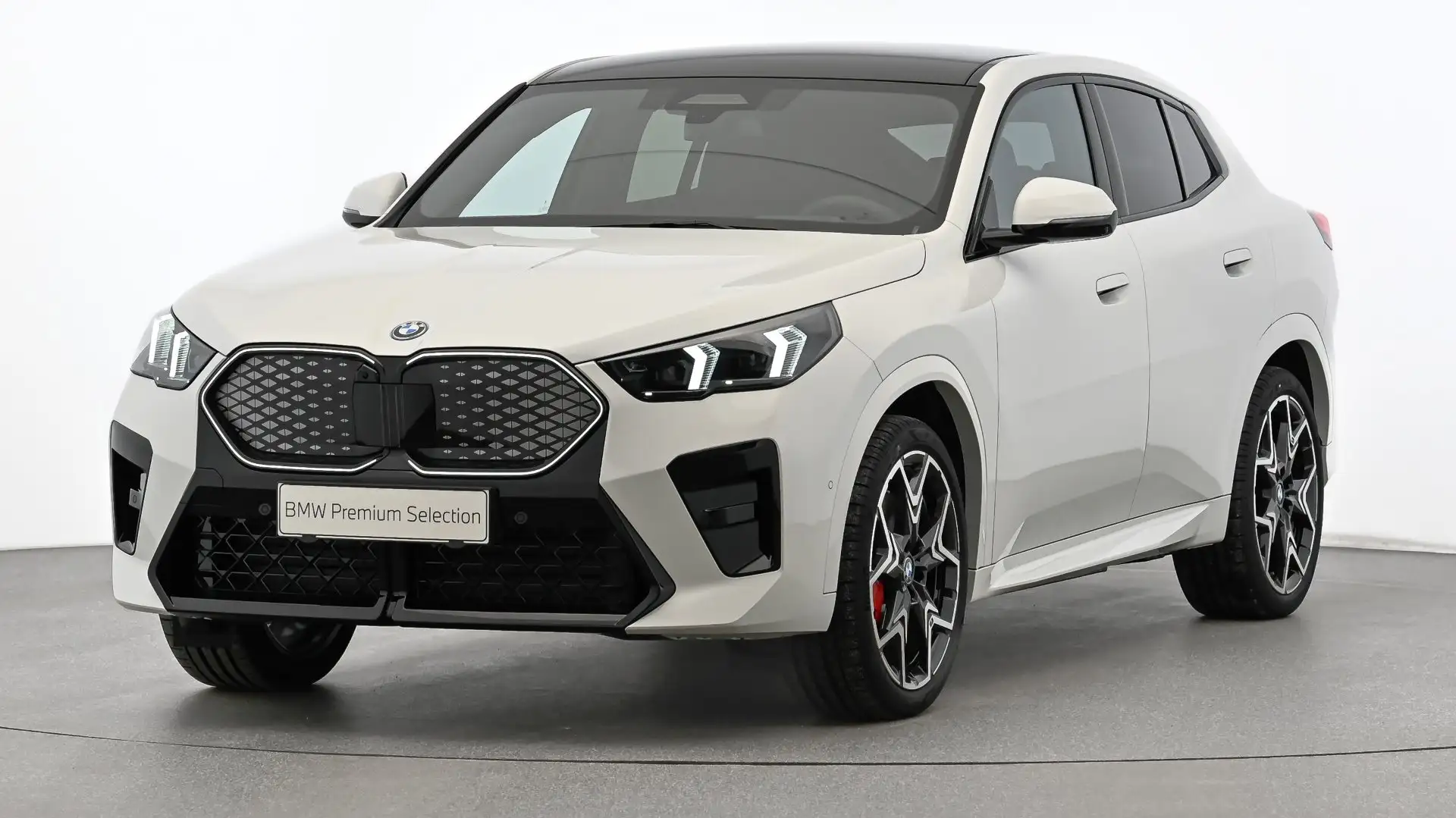 BMW iX2 xDrive30 M SPORTPAKET PRO, INNOVATIONSPAKET Weiß - 1