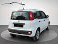 Fiat Panda Easy **Klima / 1 Vorbesitzer / Nur 26t km Stand*** Bianco - thumbnail 5