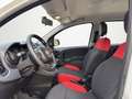 Fiat Panda Easy **Klima / 1 Vorbesitzer / Nur 26t km Stand*** Bianco - thumbnail 14