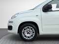 Fiat Panda Easy **Klima / 1 Vorbesitzer / Nur 26t km Stand*** Bianco - thumbnail 7