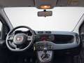 Fiat Panda Easy **Klima / 1 Vorbesitzer / Nur 26t km Stand*** Weiß - thumbnail 16