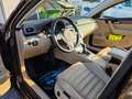 Volkswagen Passat Variant Comfortline BMT TDI 4Motion DSG Braun - thumbnail 22