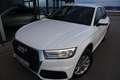 Audi Q5 40 TDI quattro S-tronic*1.Besitz*Navigation* Weiß - thumbnail 19