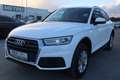 Audi Q5 40 TDI quattro S-tronic*1.Besitz*Navigation* Weiß - thumbnail 8
