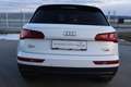 Audi Q5 40 TDI quattro S-tronic*1.Besitz*Navigation* Weiß - thumbnail 15