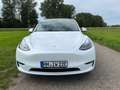 Tesla Model Y Model Y Long Range Dual Motor AWD Weiß - thumbnail 1
