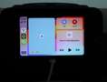 Fiat Panda 1.0 FireFly S&S Hybrid PANDINA Rosso - thumbnail 10