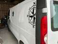 Opel Vivaro Vivaro Combi L1H1 2,0 CDTI 2,9t Weiß - thumbnail 5