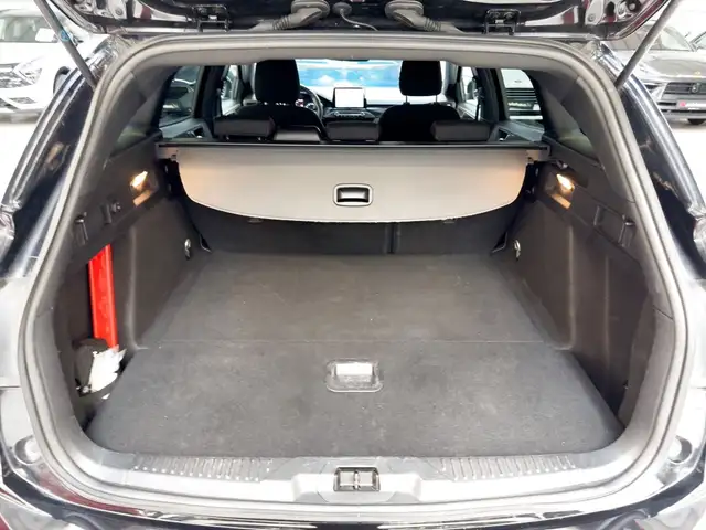 Ford Focus view 6
