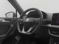 SEAT Tarraco Tarraco 2.0 TDI FR 4Drive (EURO 6d) 7-Sitzer+AHK Gri - thumbnail 19