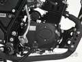 Archive Motorcycle Scrambler 50 '2024 CH12345 Nero - thumbnail 12