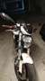 Ducati Monster 696 plus bianco perla depotenziata Bianco - thumbnail 9