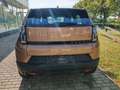 Fiat Grande Panda Hybrid ICON 1.2 eDCT Klima-PDC-LED-LED Pixellicht Bronze - thumbnail 3