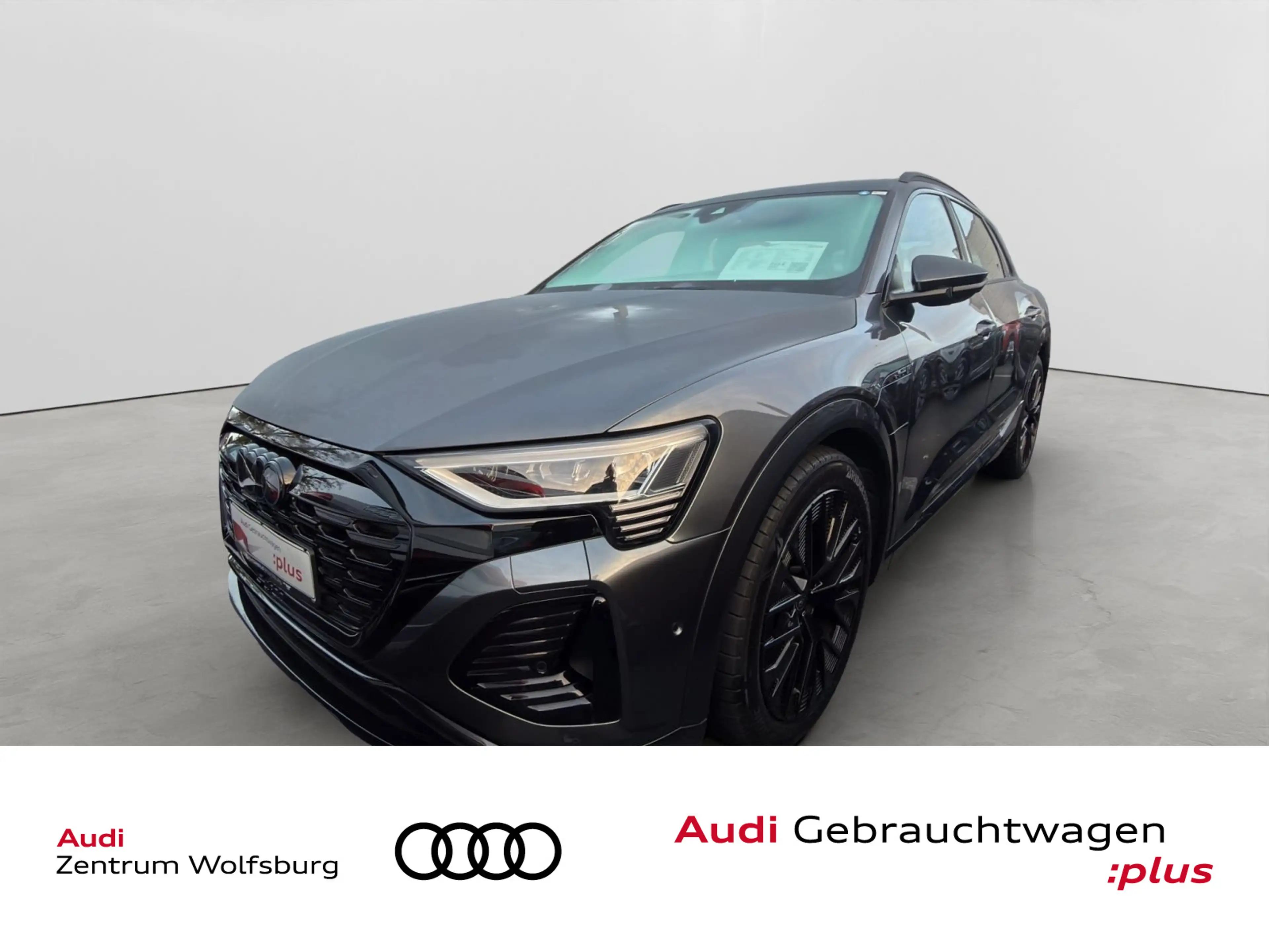 Audi Q8 e-tron 50 quattro AHK/ACC/Rückkam