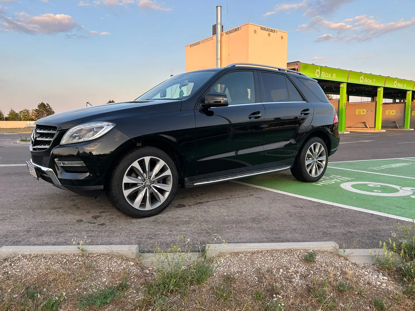 Mercedes-Benz ML 250 ML 250 CDI BlueTec 4Matic (166.004) Schwarz - 2