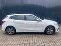 BMW 116 i 5-Türer/ SchiebeDach/Lenkradheiz/LED/Navi Weiß - thumbnail 5