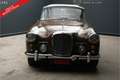 Oldtimer Alvis TD21 PRICE REDUCTION! Drophead Coupe factory origi Bruin - thumbnail 5