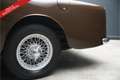 Oldtimer Alvis TD21 PRICE REDUCTION! Drophead Coupe factory origi Bruin - thumbnail 25