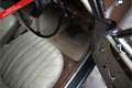 Oldtimer Alvis TD21 PRICE REDUCTION! Drophead Coupe factory origi Bruin - thumbnail 46