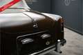Oldtimer Alvis TD21 PRICE REDUCTION! Drophead Coupe factory origi Barna - thumbnail 11