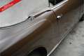 Oldtimer Alvis TD21 PRICE REDUCTION! Drophead Coupe factory origi Brun - thumbnail 32
