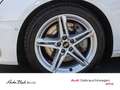 Audi A4 S line 45TFSI qu. Stronic Navi ACC Virt Weiß - thumbnail 8