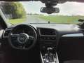 Audi Q5 Q5 2.0 TDI quattro (clean diesel) S tronic Weiß - thumbnail 4