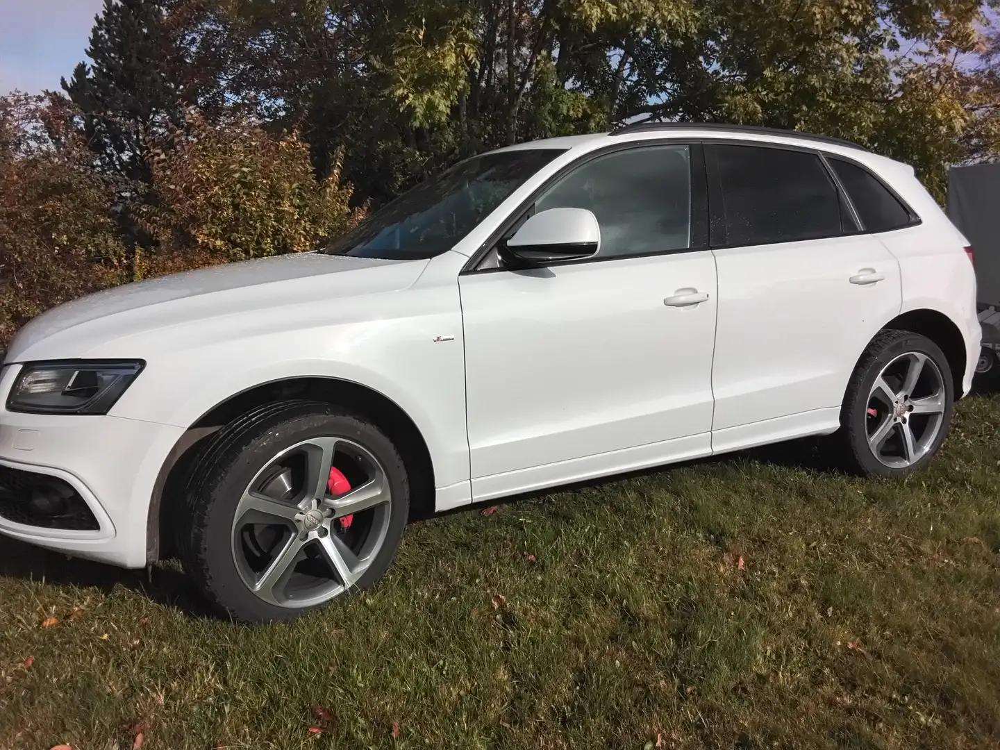 Audi Q5 Q5 2.0 TDI quattro (clean diesel) S tronic Weiß - 1