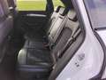 Audi Q5 Q5 2.0 TDI quattro (clean diesel) S tronic Weiß - thumbnail 5