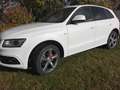 Audi Q5 Q5 2.0 TDI quattro (clean diesel) S tronic Weiß - thumbnail 6