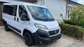 Fiat Ducato Kombi 30 150 L1H1 RS: 3000 mm Weiß - thumbnail 16