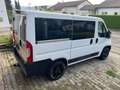 Fiat Ducato Kombi 30 150 L1H1 RS: 3000 mm Weiß - thumbnail 20