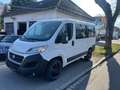 Fiat Ducato Kombi 30 150 L1H1 RS: 3000 mm Weiß - thumbnail 3