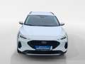 Ford Focus Turnier 1,5 EcoBlue Active X Aut. Weiß - thumbnail 8