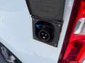 Toyota Proace 2.0 D-4D L1 Crosscamp *AHK*PDC*Zeltdach* Blanc - thumbnail 24
