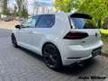 Volkswagen Golf GTI Performance Panorama Navi Leder ACC DAB Blanco - thumbnail 3