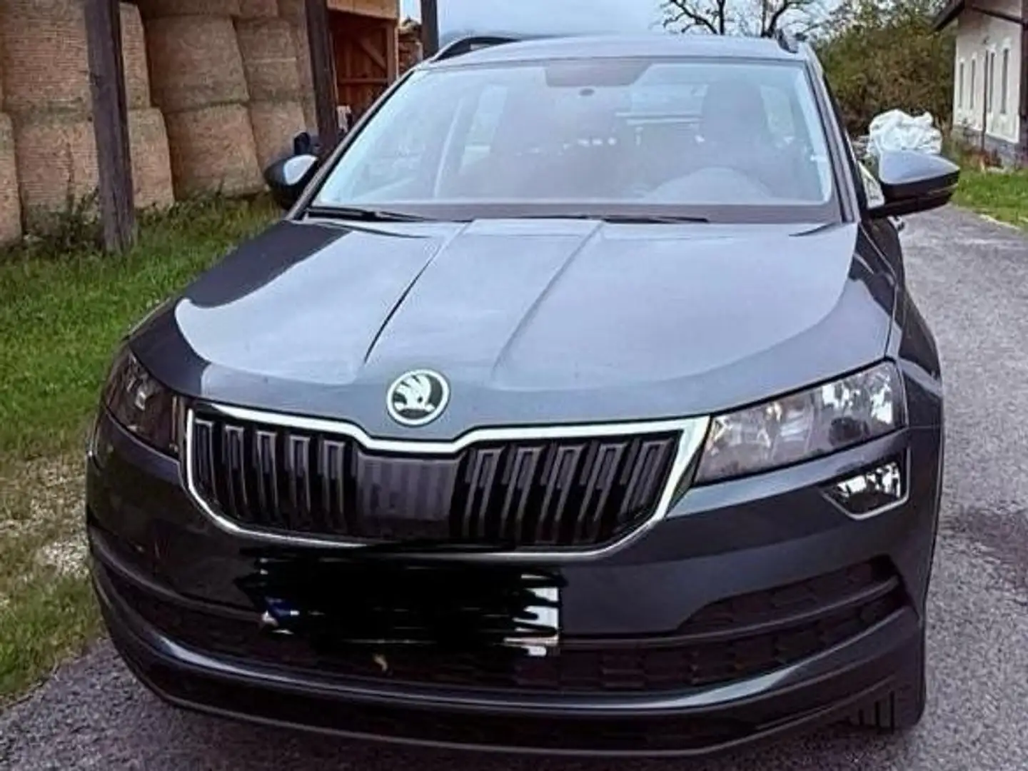 Skoda Karoq Karoq 1,0 TSI City Grau - 1