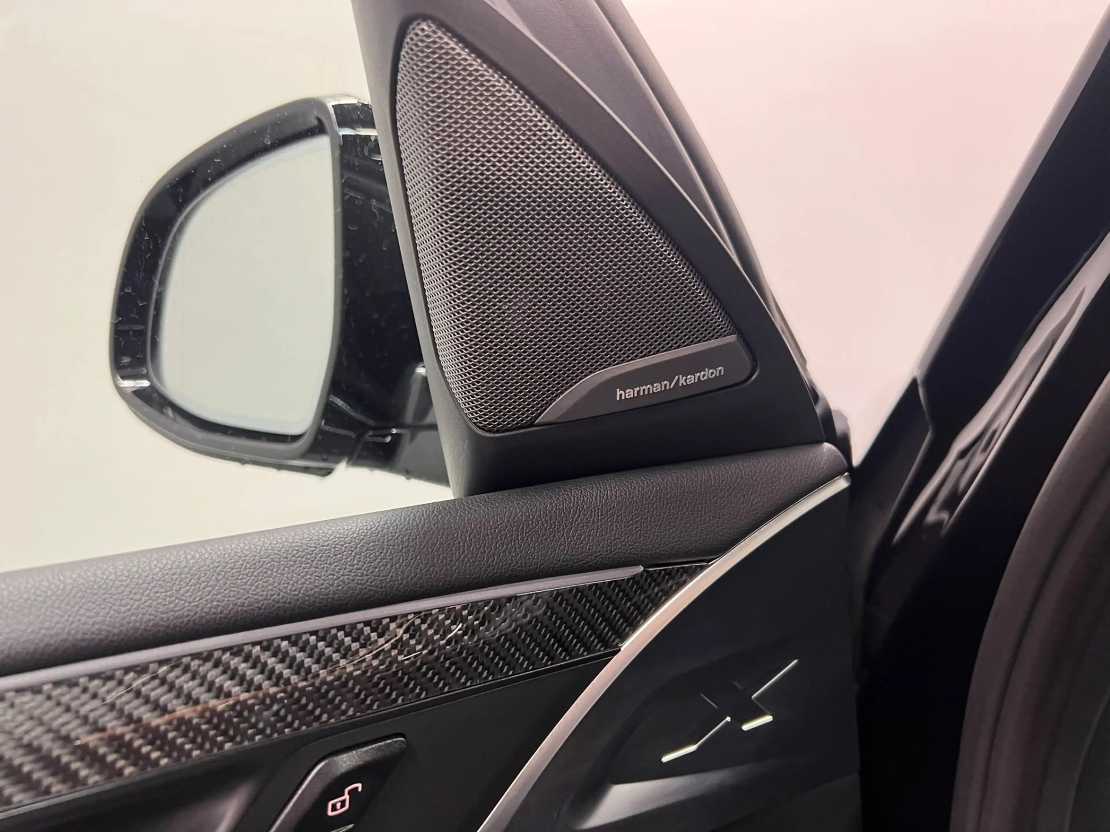BMW X4 xDrive20i Business Edition Plus | Trekhaak | M Spo — photo 6