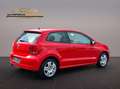Volkswagen Polo 1.6 TDI V Life Tempomat Sitzheizung TÜV Rouge - thumbnail 5