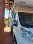 Fiat Ducato camper rimor mansardato - thumbnail 1