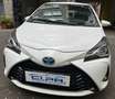 Toyota Yaris Yaris 5p 1.5h Active my18 Bianco - thumbnail 2
